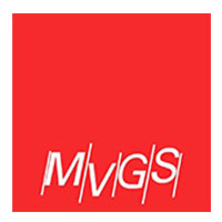 MARTINEZ VERGARA GONZALEZ & SERRANO